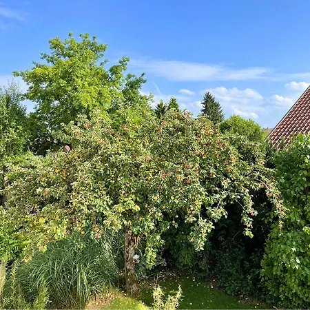 Apartment Garten-maisonette Am Und Loft Am Mit Dachterrasse